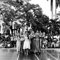 daphnis2002006.jpg